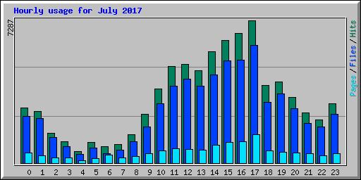 Hourly usage for July 2017